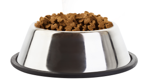 a bowl of food